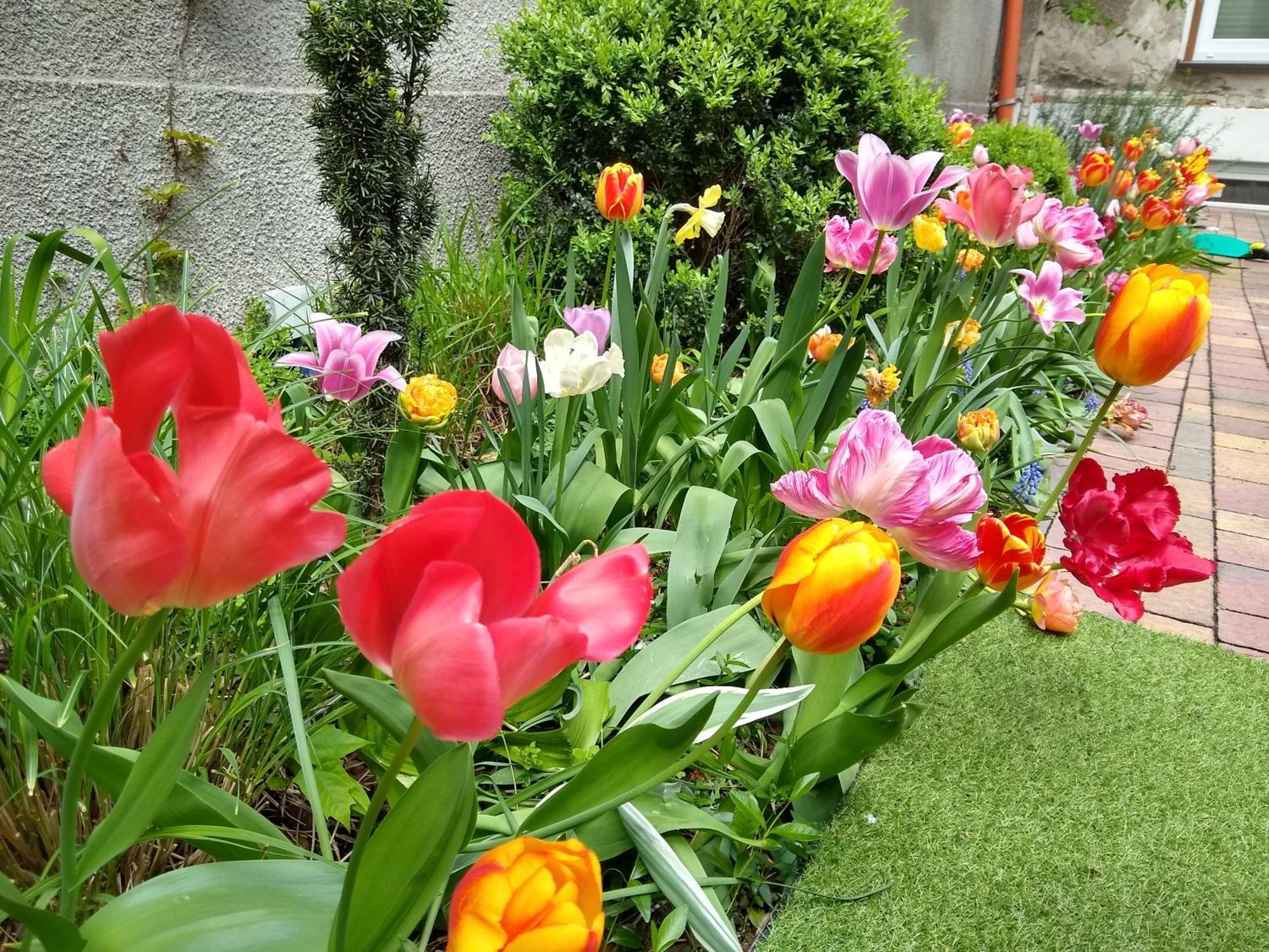 Poezja Apartamento Lublin Exterior foto
